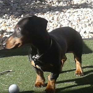 Meet your Posher, Mitch